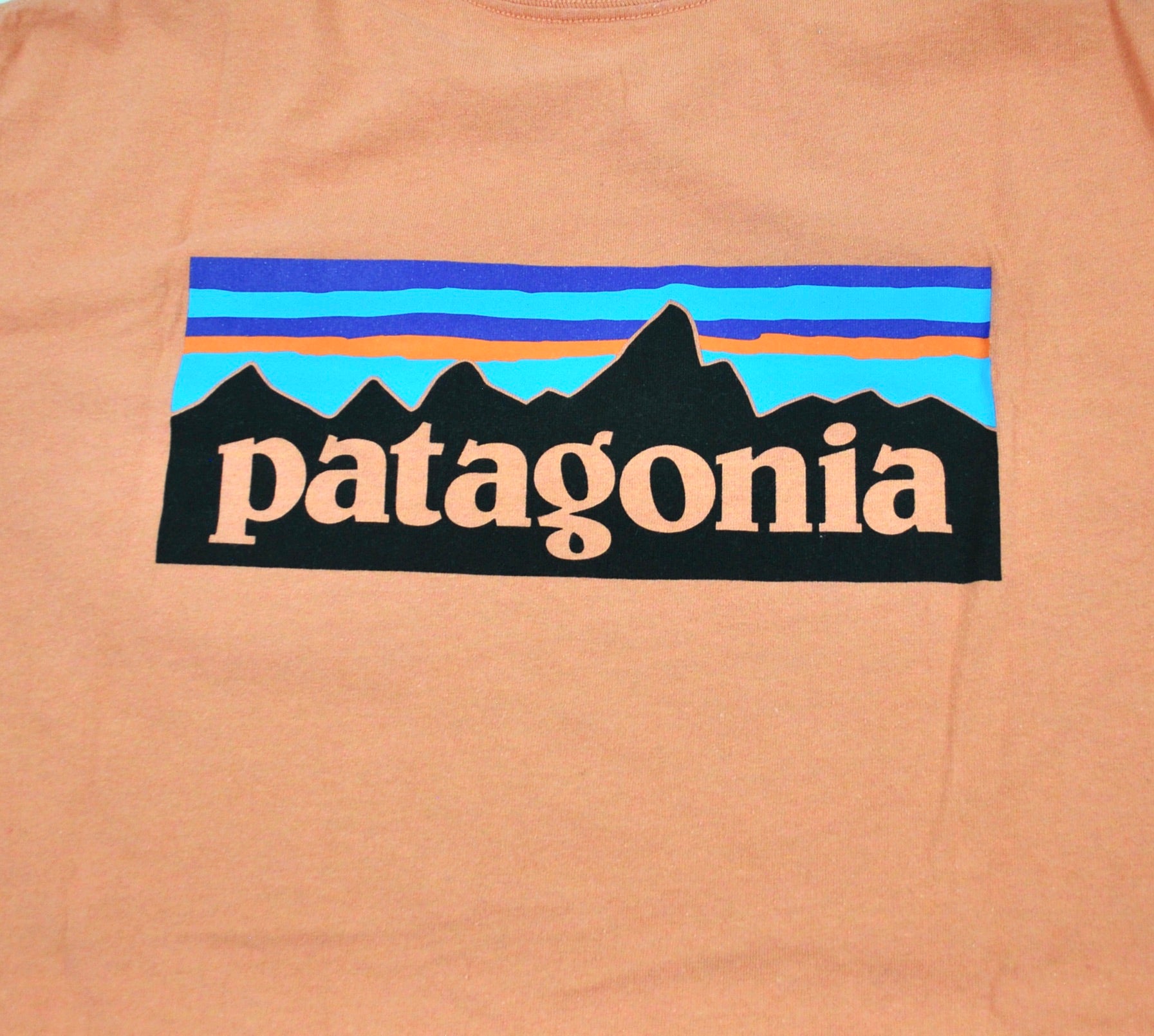 Patagonia Shirt Size Large – Yesterday's Attic
