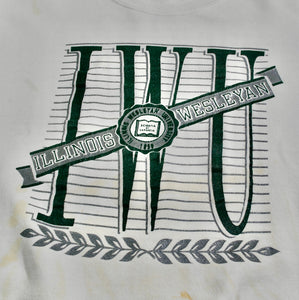 Vintage Illinois Wesleyan Sweatshirt Size Large