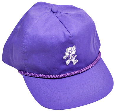 Vintage Northwestern Wildcats Zip Strap Hat