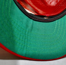 Vintage San Francisco 49ers Snapback