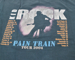 Vintage Kid Rock Tour Shirt Size 2X-Large