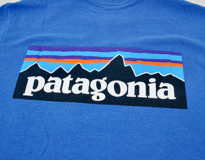 Patagonia Shirt Size X-Small