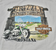 Vintage Harley Davidson Montana Shirt Size 2X-Large