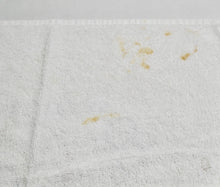 Vintage Delaware Springs Golf Towel