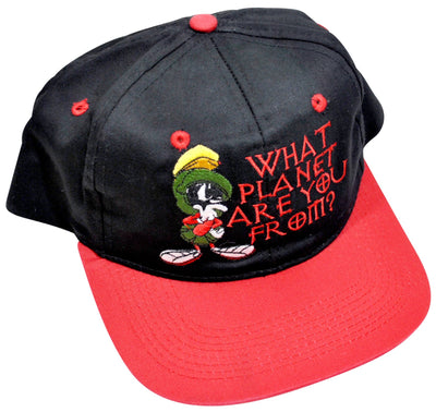 Vintage Marvin The Martian Snapback