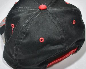 Vintage Dale Earnhardt Snapback