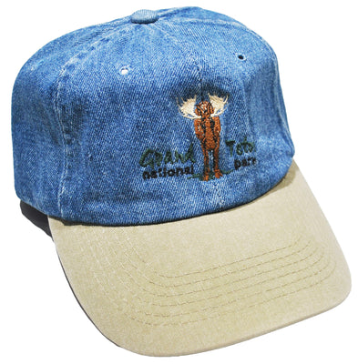 Vintage Grand Teton National Park Denim Strap Hat