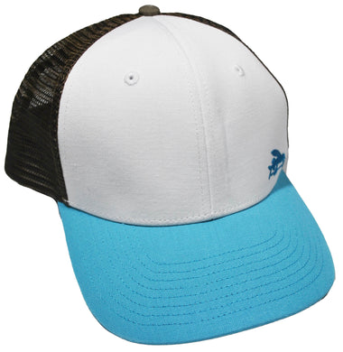 Patagonia Snapback