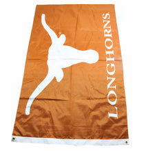 Vintage Texas Longhorns Flag