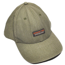 Patagonia Snapback