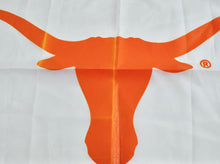 Vintage Texas Longhorns Banner