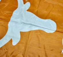 Vintage Texas Longhorns Flag