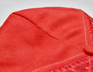 Vintage Budweiser Texas King of Beers Snapback