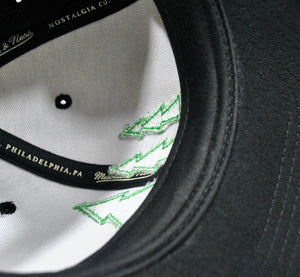 Minnesota Timberwolves Snapback