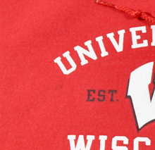 Vintage Wisconsin Badgers Sweatshirt Size Medium