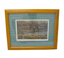 Vintage Ducks Framed Glass Picture