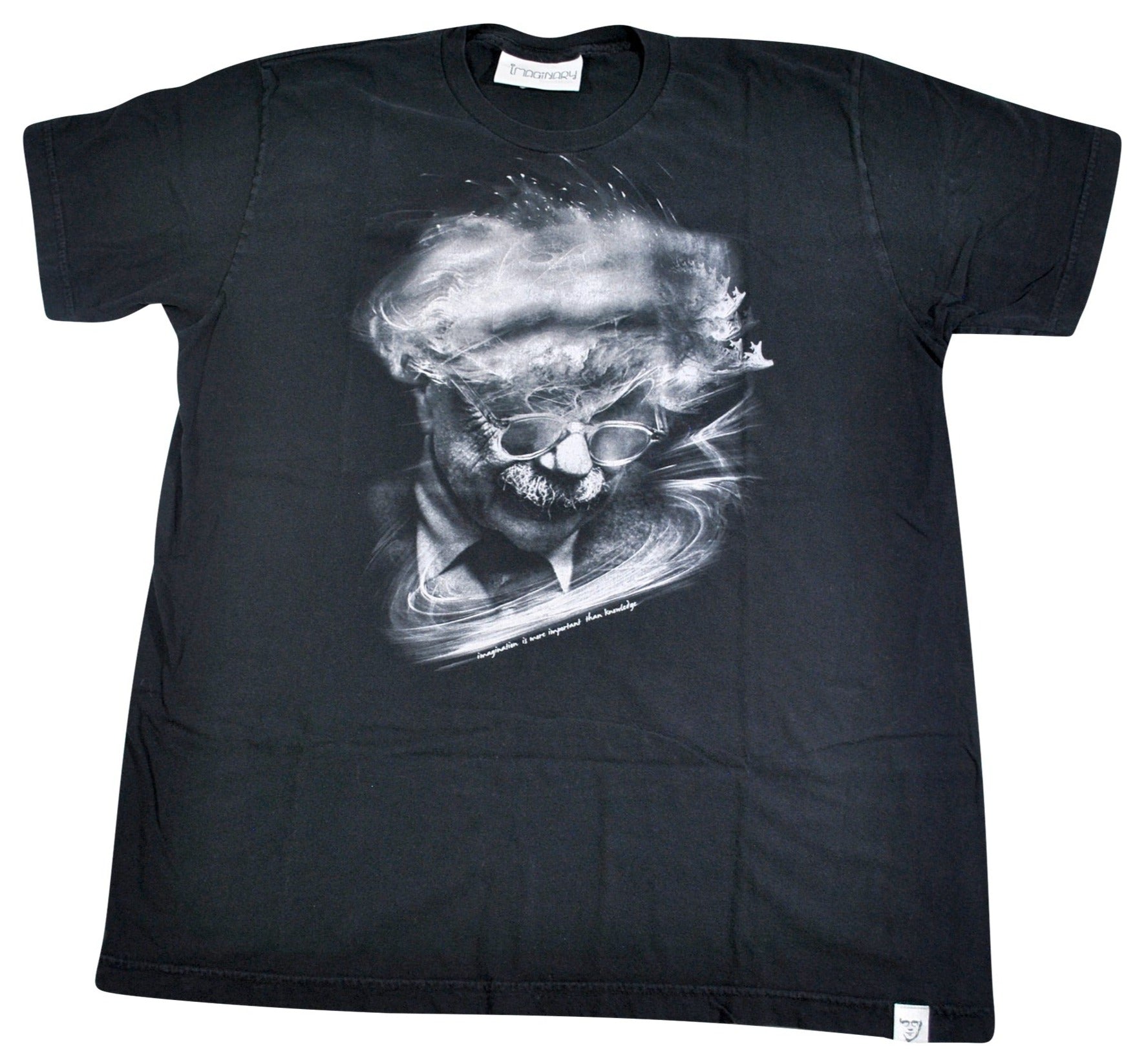USA製 アインシュタイン vintage Tシャツ Einstein nina de coito 埼玉県 志木 通販 90年代 ヴィンテージ ALBERT