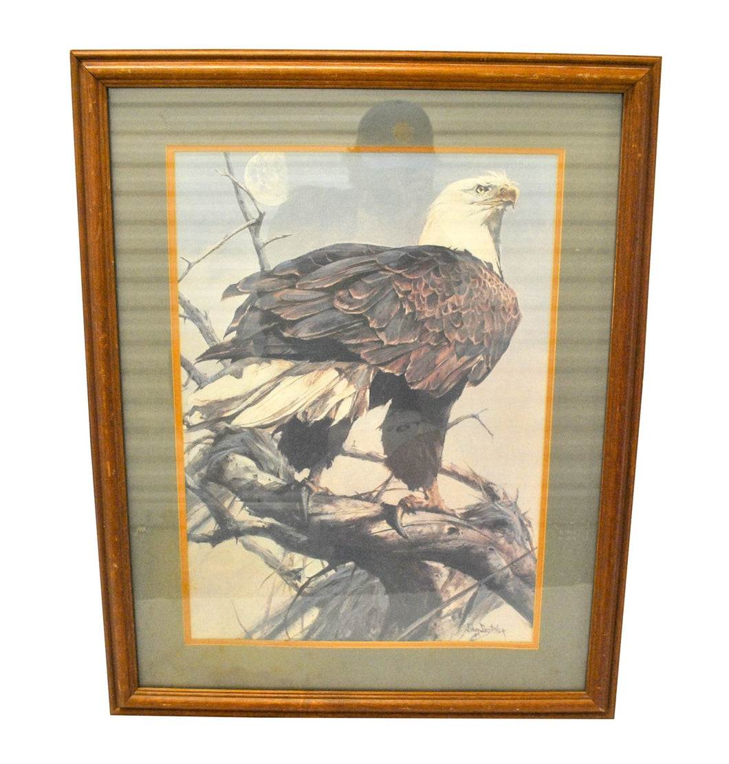 Vintage Bald Eagle Framed Glass Picture