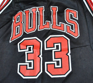 Vintage Champion Brand Chicago Bulls Scottie Pippen Reversible Jersey Size Large