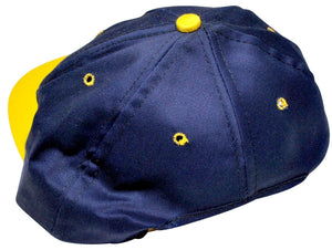 Vintage Michigan Wolverines Snapback