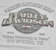 Vintage Harley Davidson Hell on Wheels Big Spring Texas Shirt Size Medium