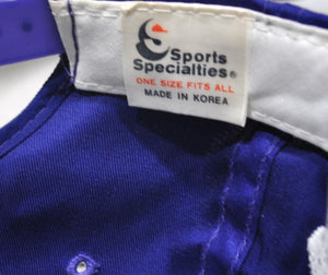 Vintage Charlotte Hornets Sports Specialties Snapback