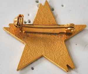 Vintage Star Pin